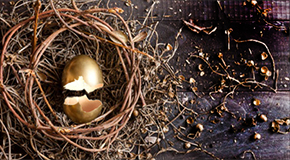 Broken golden egg in a nest